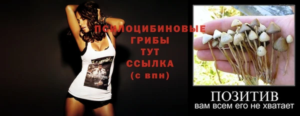 mix Пестово