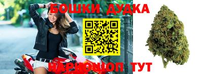 индика Апрелевка