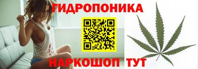 крисы Апшеронск