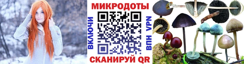 Галлюциногенные грибы MAGIC MUSHROOMS Асино